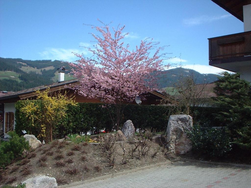 Pension Fuchs Brixen im Thale Exteriér fotografie